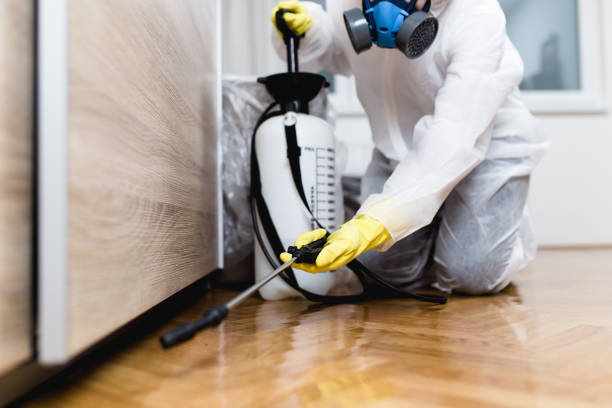 Best Local Pest Control Services  in Albany, WI