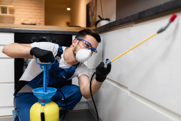 Best Termite Control Services  in Albany, WI