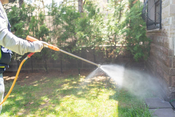 Best Exterminator Services  in Albany, WI