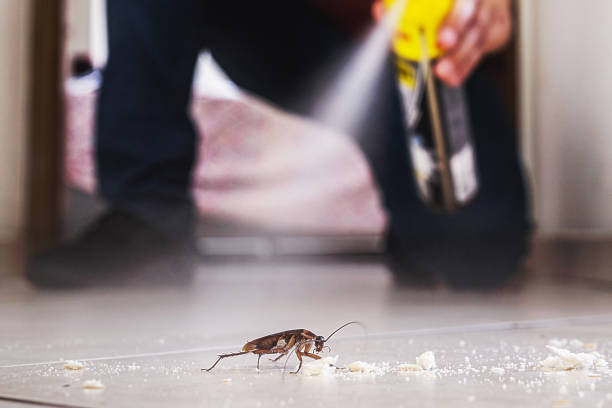 Best Commercial Pest Control Services  in Albany, WI