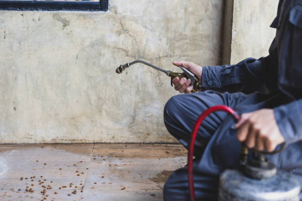 Professional Pest Control in Albany, WI